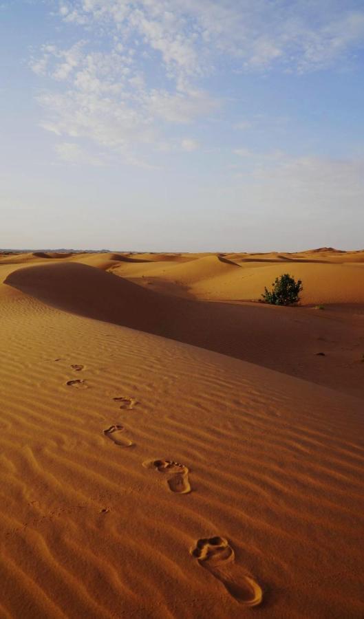 Tourza Desert Camp "Tents With Heating" 梅尔祖卡 外观 照片