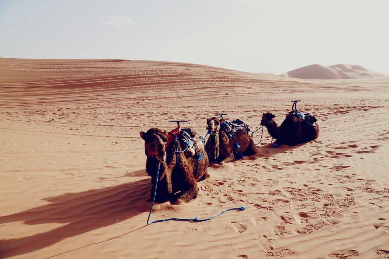 Tourza Desert Camp "Tents With Heating" 梅尔祖卡 外观 照片
