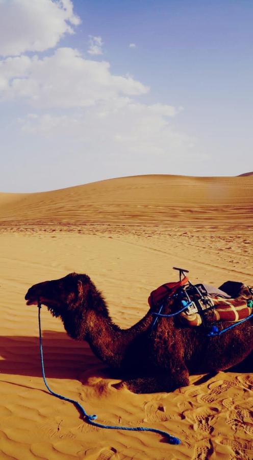 Tourza Desert Camp "Tents With Heating" 梅尔祖卡 外观 照片